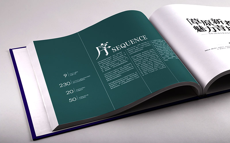 期刊內刊雜志 期刊內刊雜志