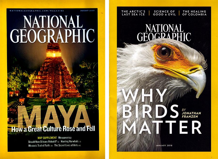 知名好看的時(shí)尚雜志